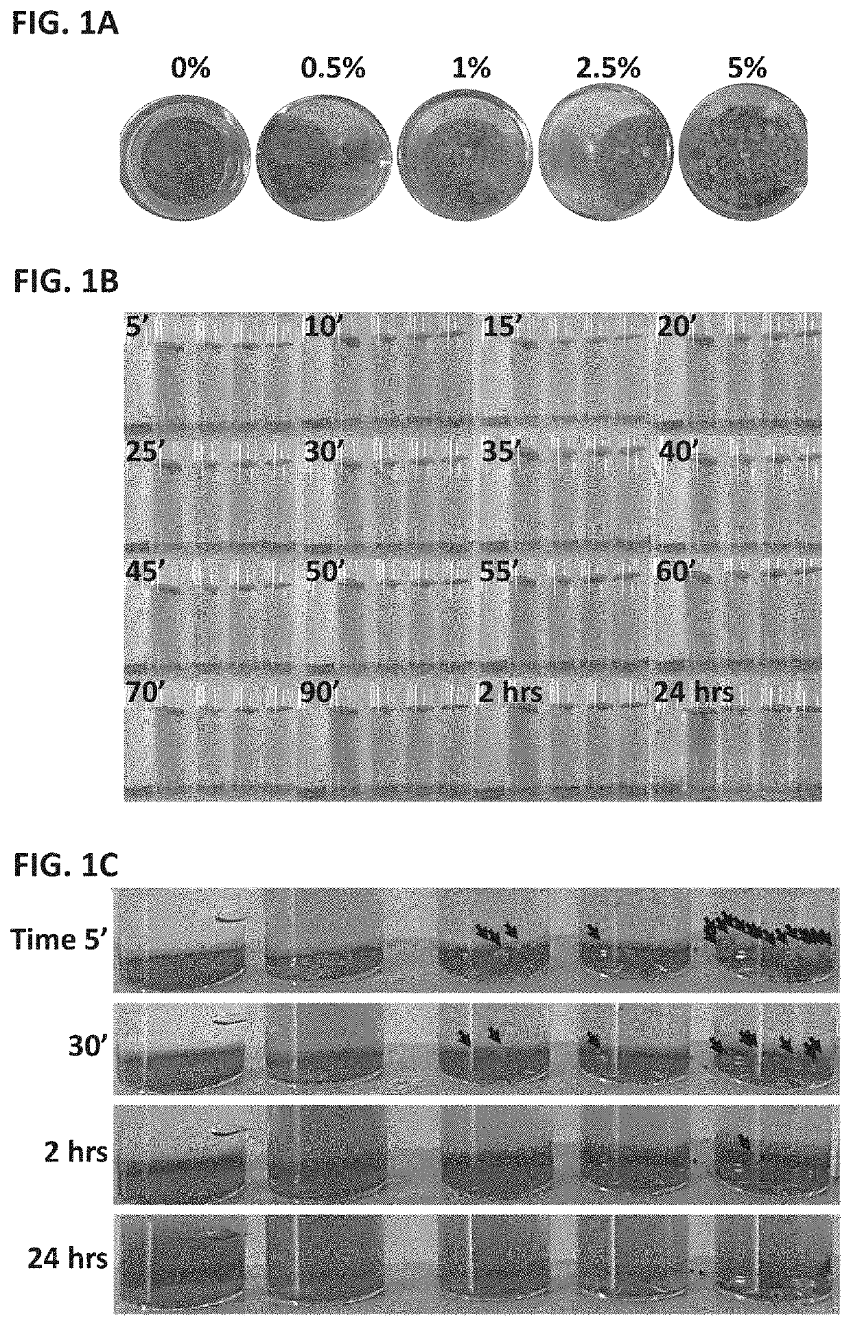 Compositions for controlling phytoplankton contamination