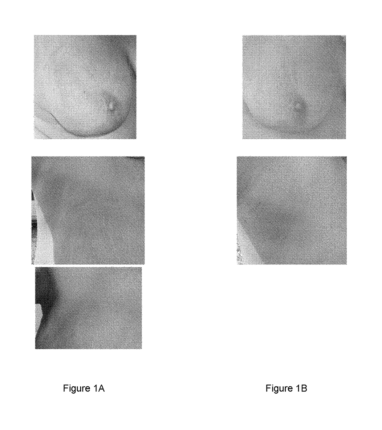 Mineral based compositions and use thereof