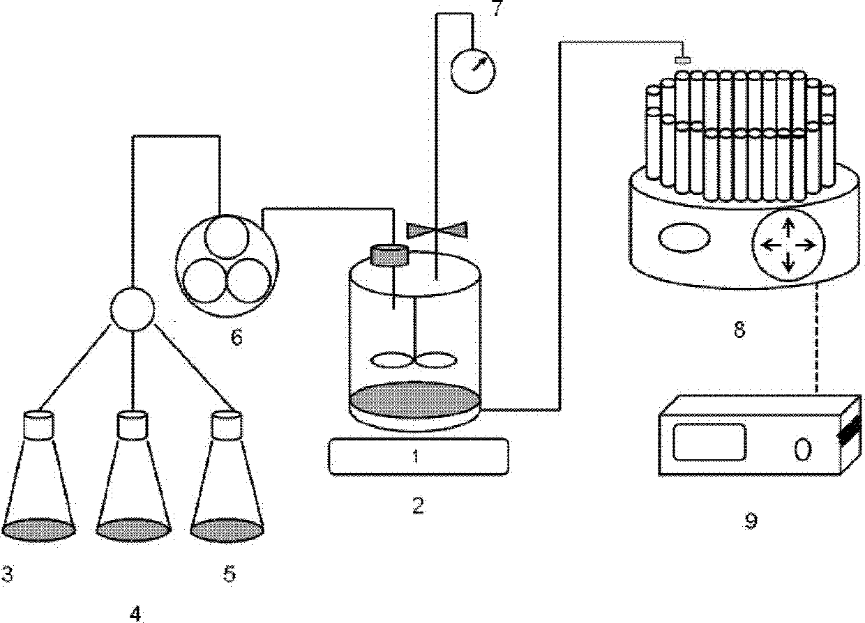 Sulfadimidine affinity membrane and application of sulfadimidine affinity membrane in antibody separation and purification