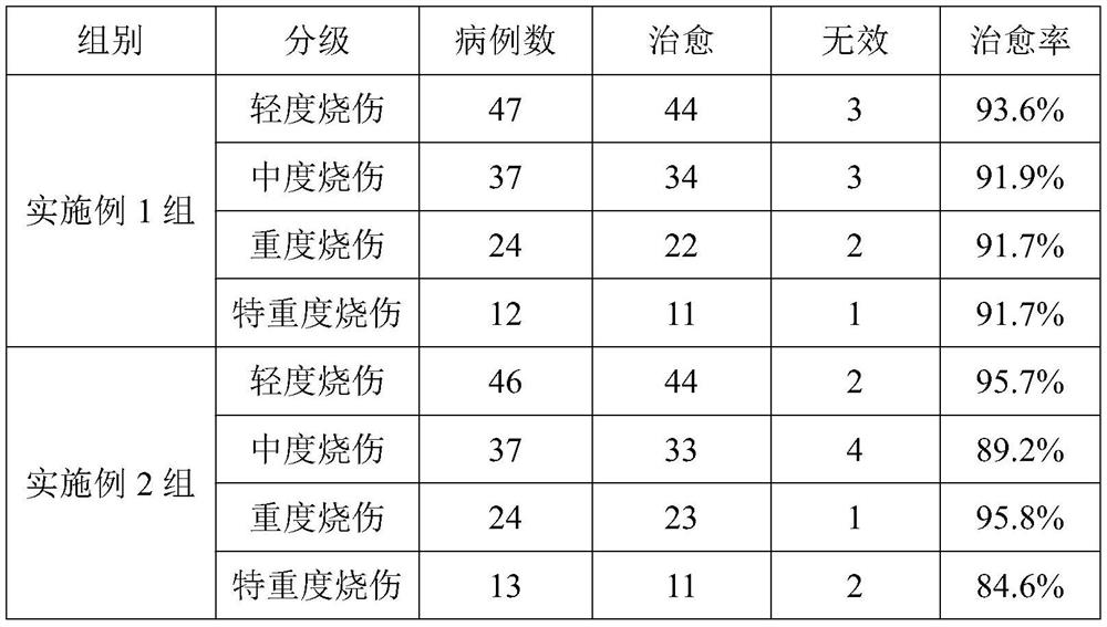 Medicine for treating burn and preparation method thereof