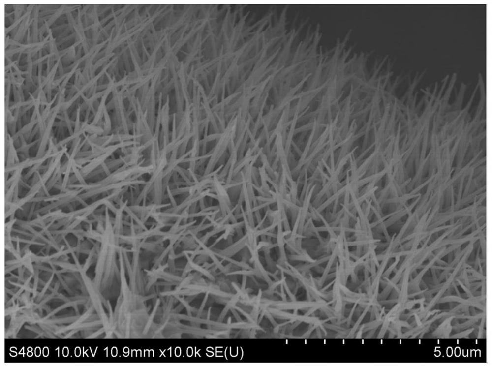 High-performance supercapacitor electrode material and preparation method thereof