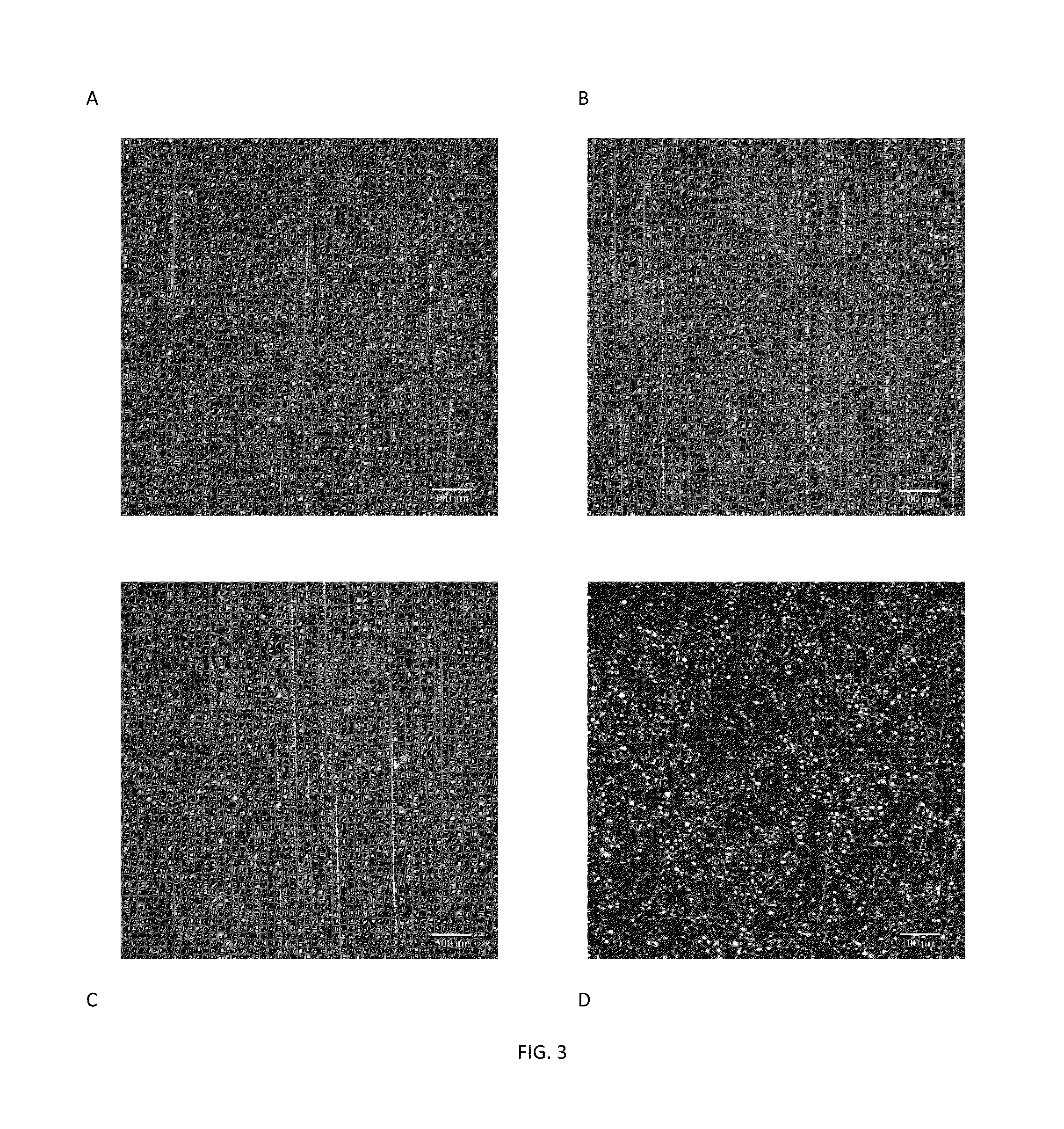 Coatings Containing Polymer Modified Enzyme For Stable Self-Cleaning Of Organic Stains