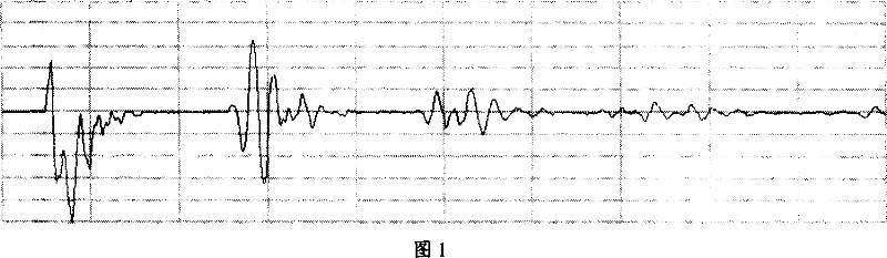 Ultrasonic color imaging method and its apparatus characterizing ultra-fine structures and continuously distributed physical conditions