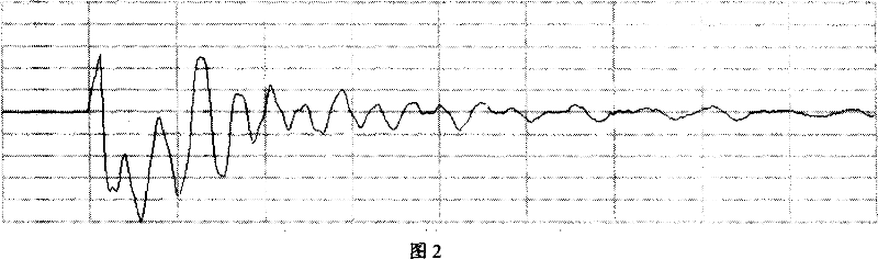 Ultrasonic color imaging method and its apparatus characterizing ultra-fine structures and continuously distributed physical conditions