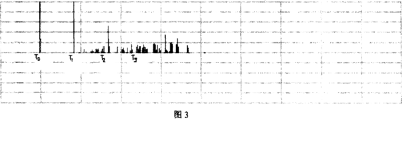 Ultrasonic color imaging method and its apparatus characterizing ultra-fine structures and continuously distributed physical conditions