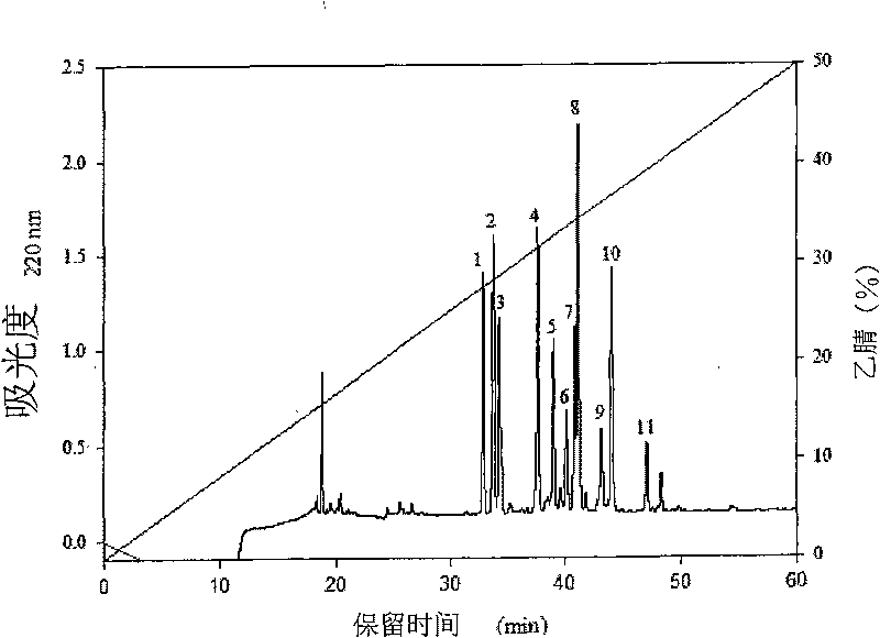 Chlorella extractive composition and preparation method thereof