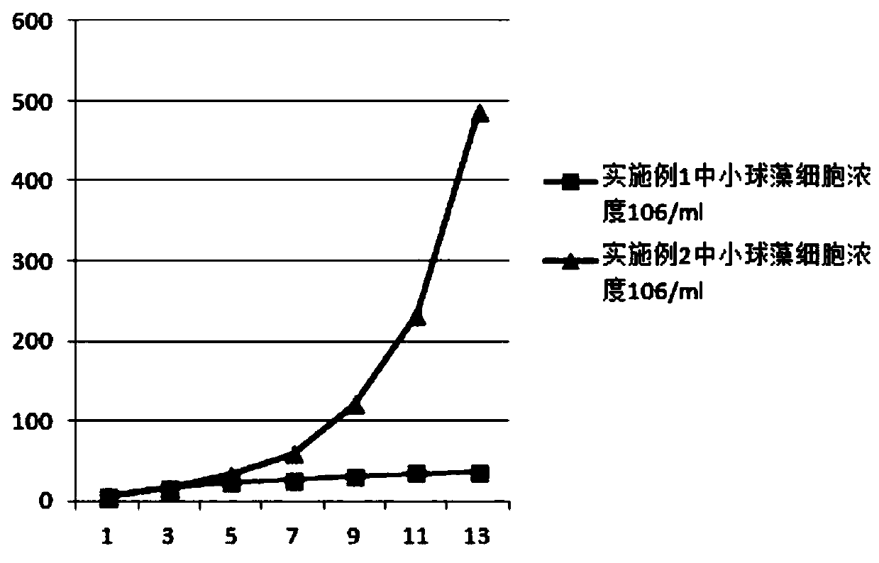 Method for controlling contaminated bacteria in large-scale cultivation of Chlorella vulgaris and preparation