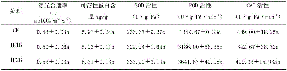 Method for adopting LED lamp for supplementing cucumber seedlings with light