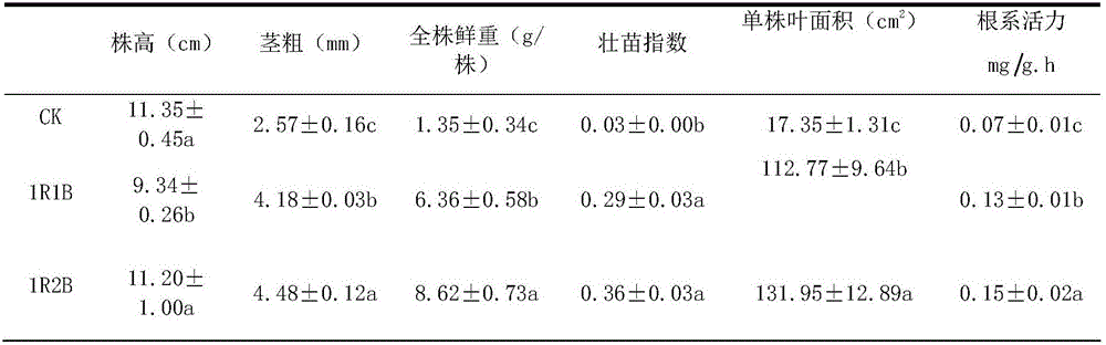 Method for adopting LED lamp for supplementing cucumber seedlings with light