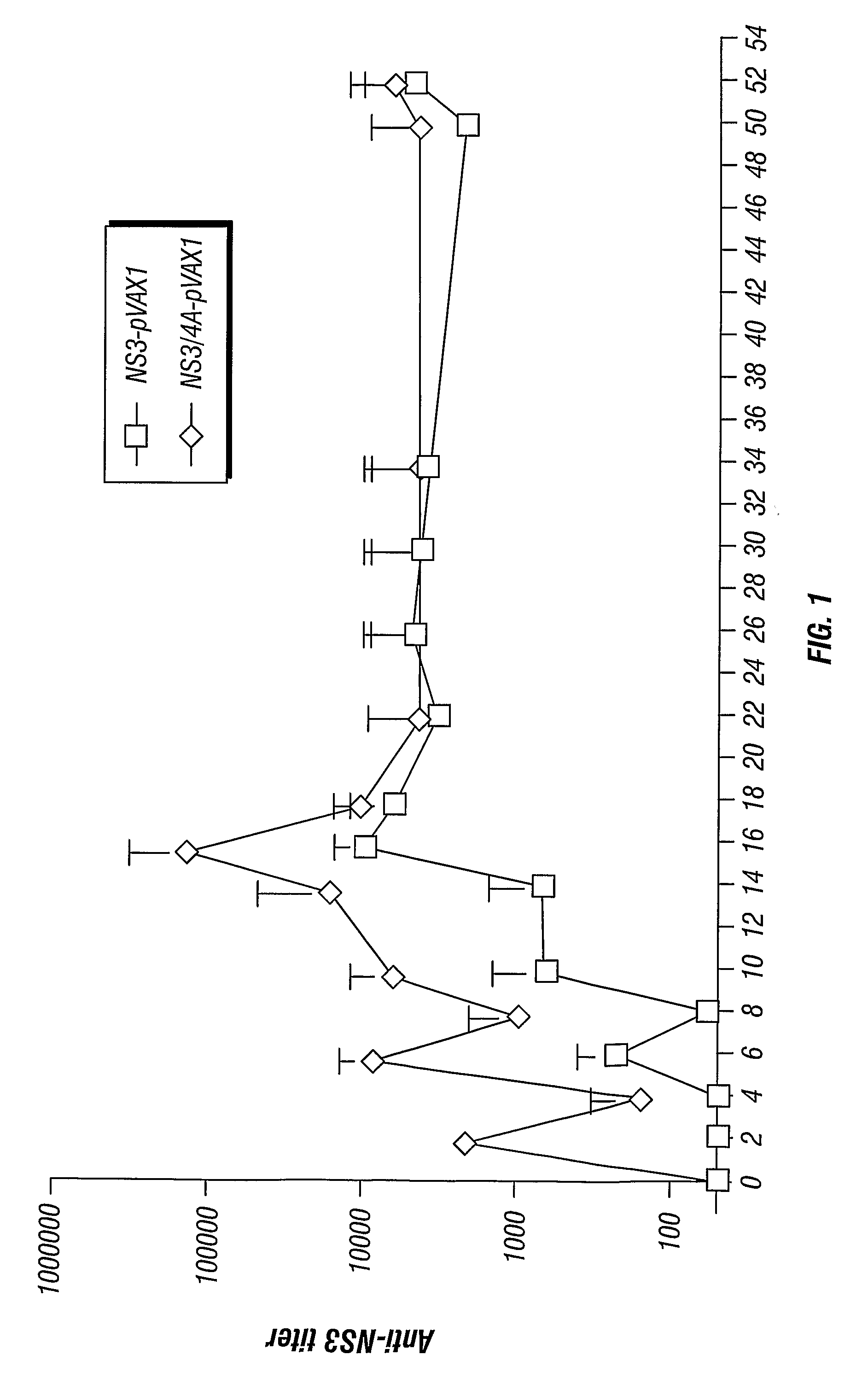 Hepatitis c virus non-structural ns3/4a fusion gene