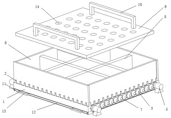 Box type animal fitness breeding mechanism