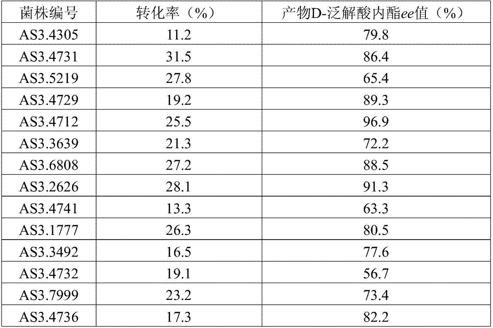 Enzyme-producing microorganism used for hydrolyzing D,L-pantoyl lactone and application and sifting method of enzyme-producing microorganism