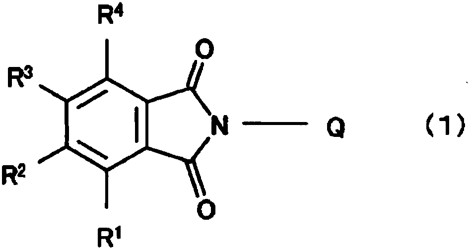 Pigment dispersion and coloring composition using phthalimide and derivatives thereof