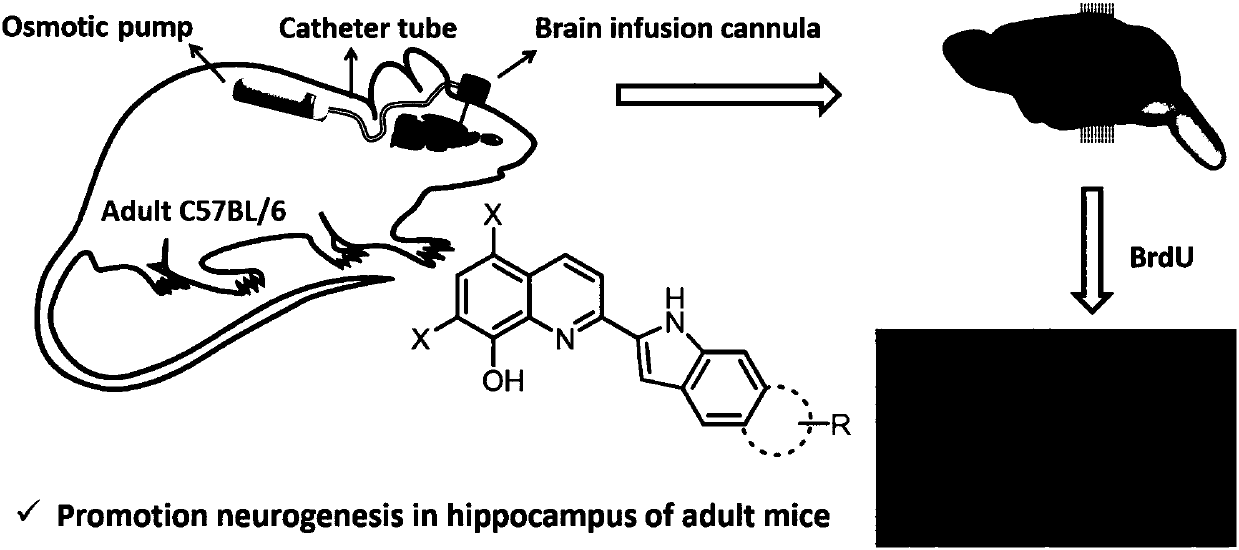 Quinoline-indole derivative and application thereof in preparation of drug used for treating alzheimer disease