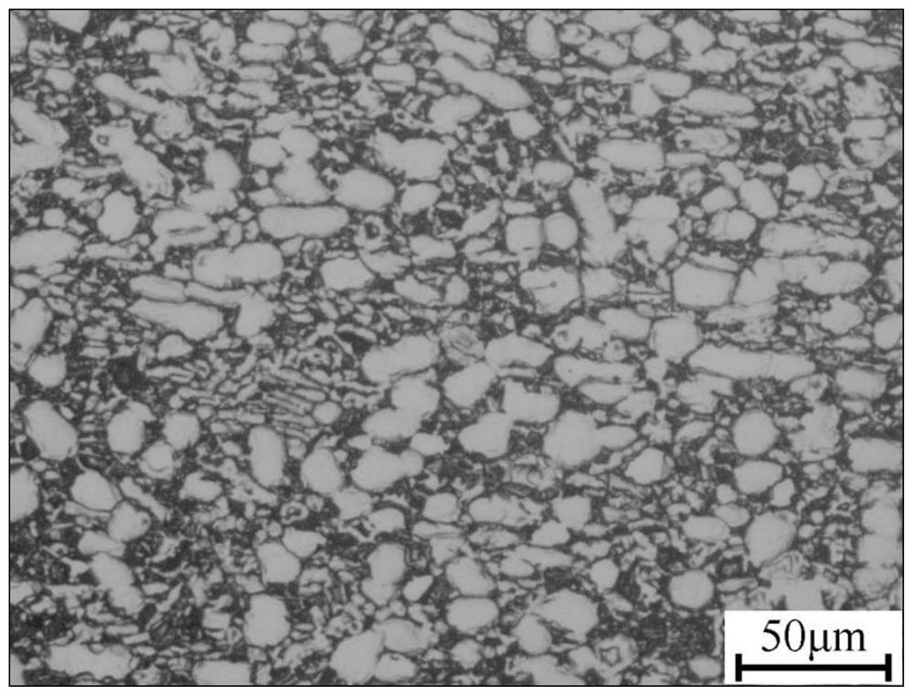 Processing method of fine-grain superplastic TA15 titanium alloy medium-thickness plate