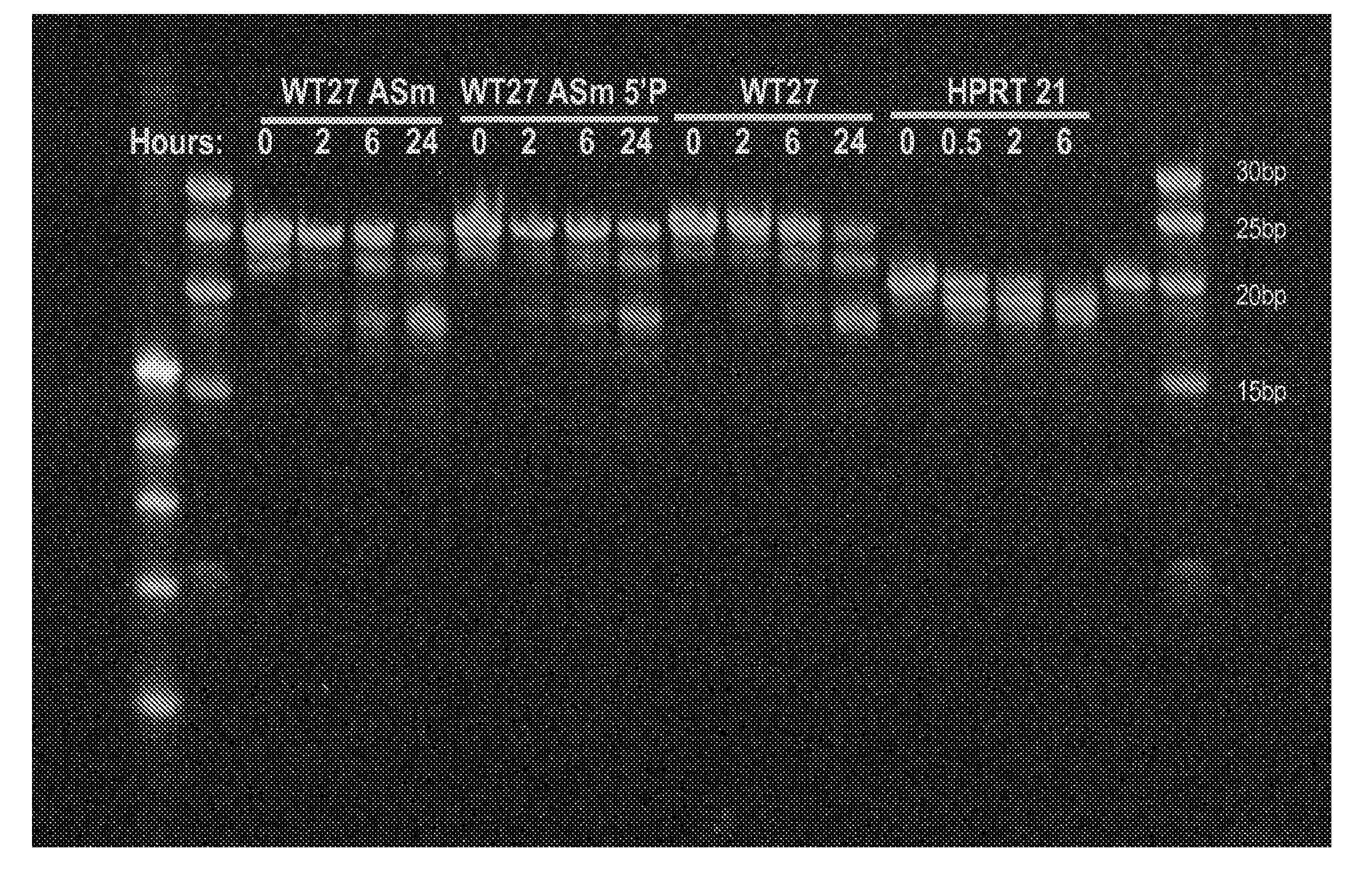 Methods and compositions for the specific inhibition of gene expression by double-stranded RNA