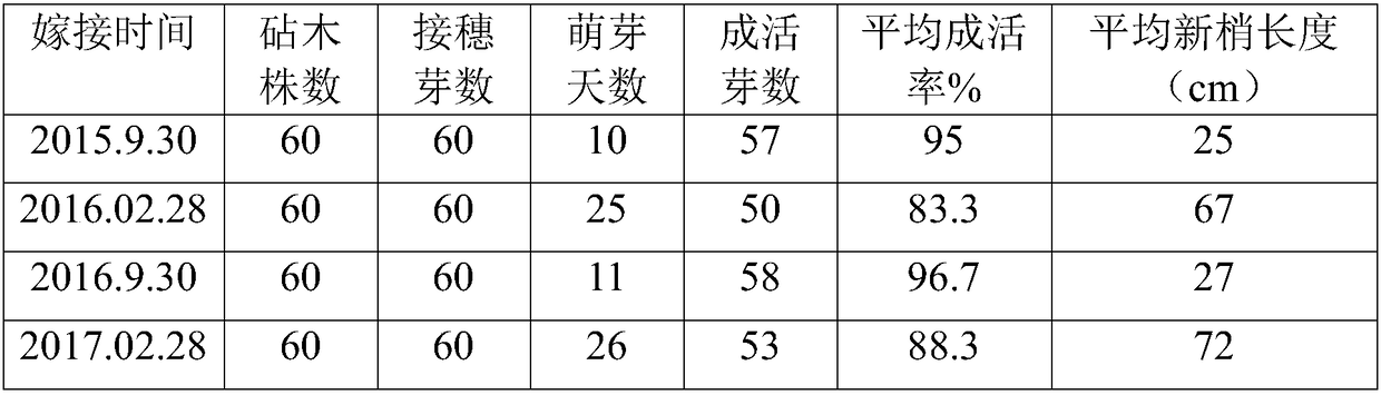 Siam rosewood paying stock grafting method and use