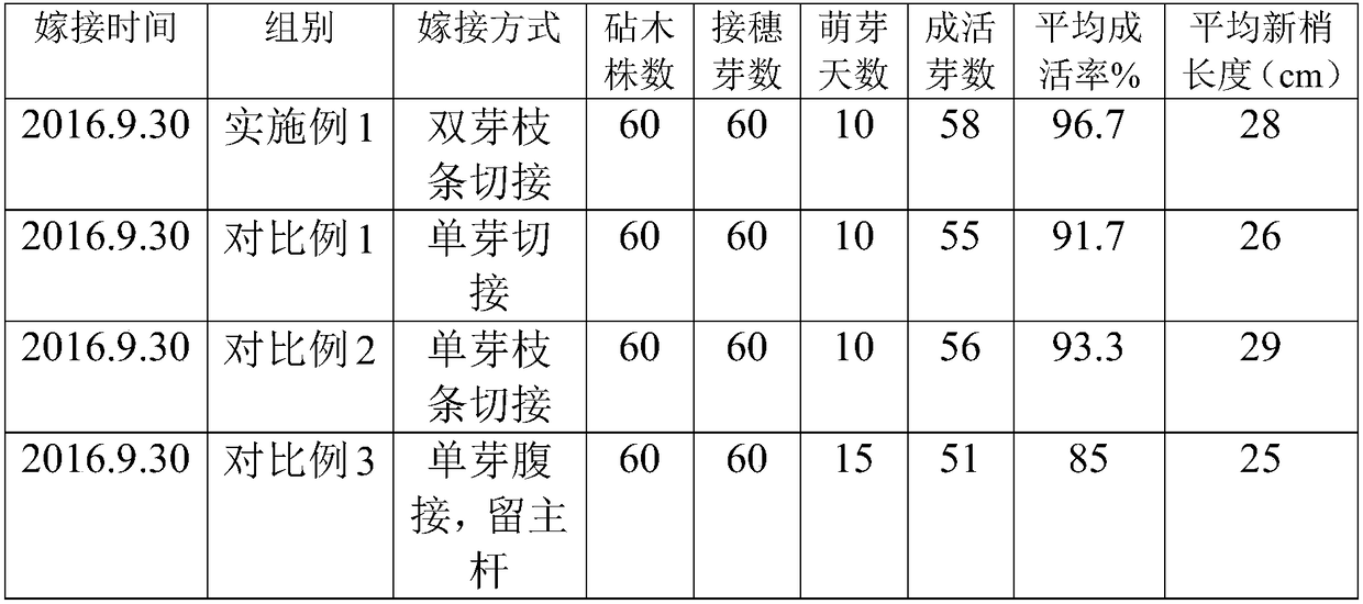 Siam rosewood paying stock grafting method and use