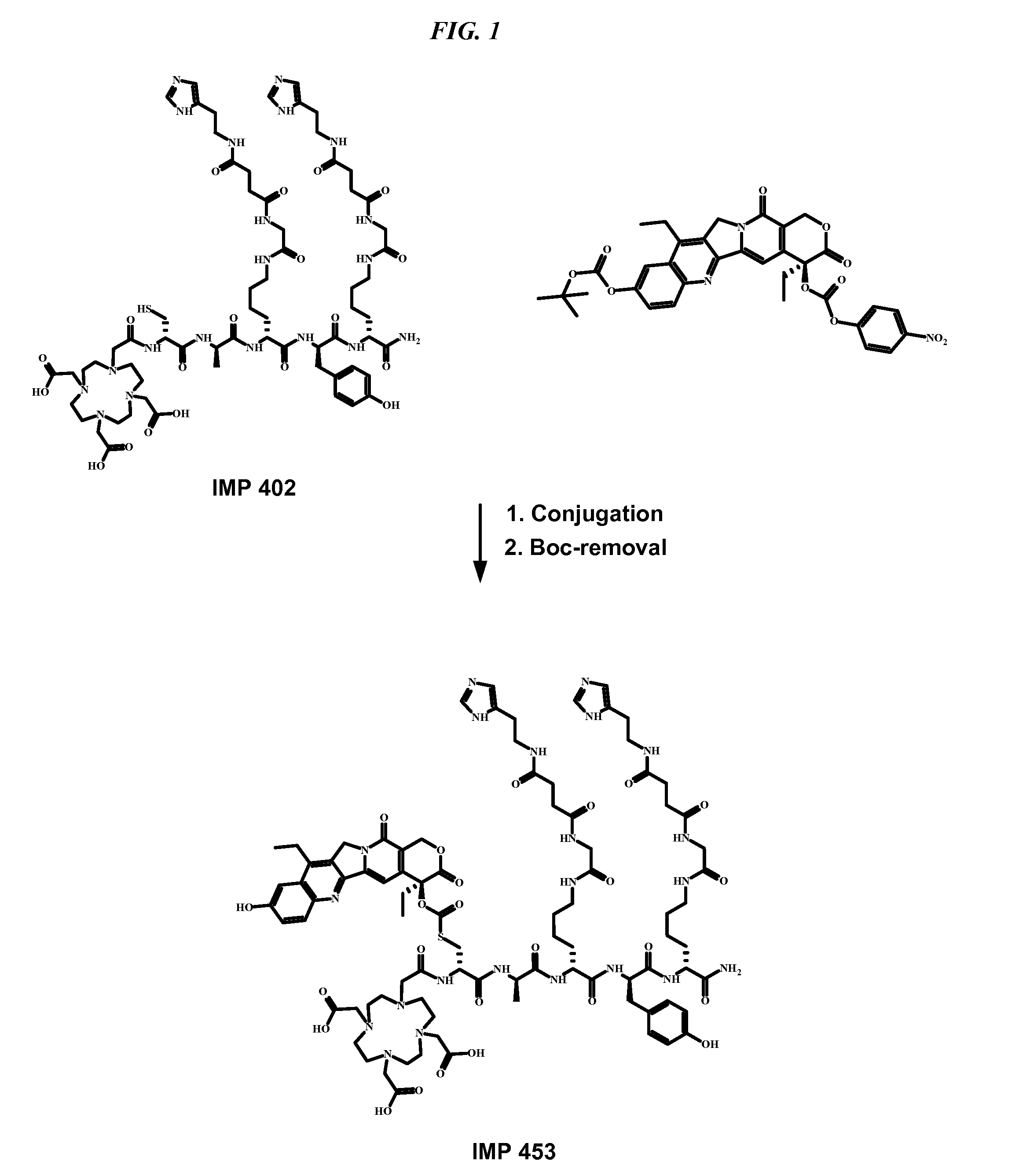 Tumor therapy by bispecific antibody pretargeting