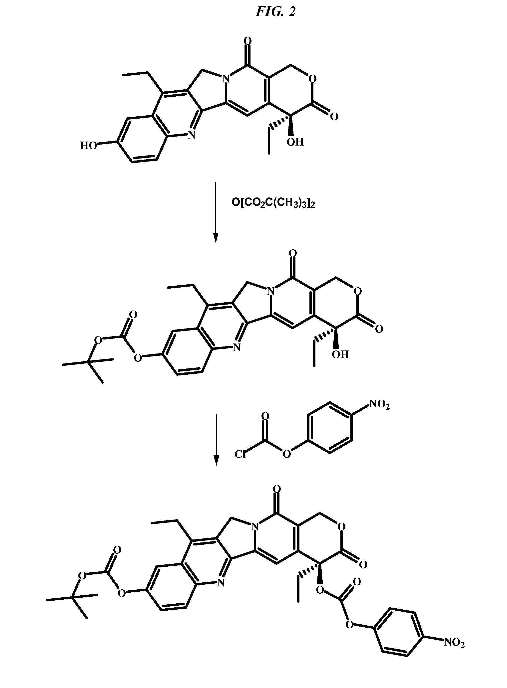 Tumor therapy by bispecific antibody pretargeting