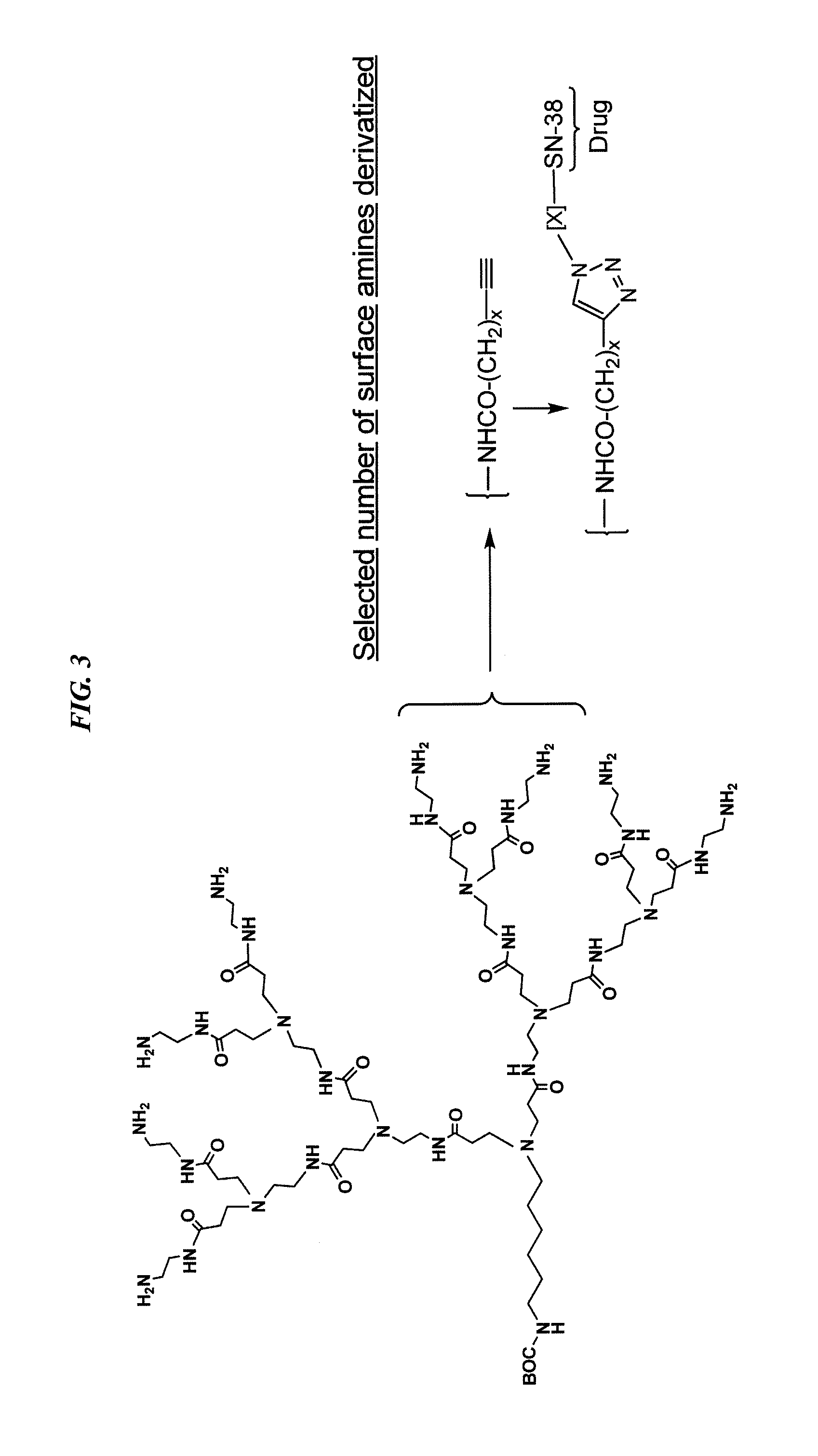 Tumor therapy by bispecific antibody pretargeting