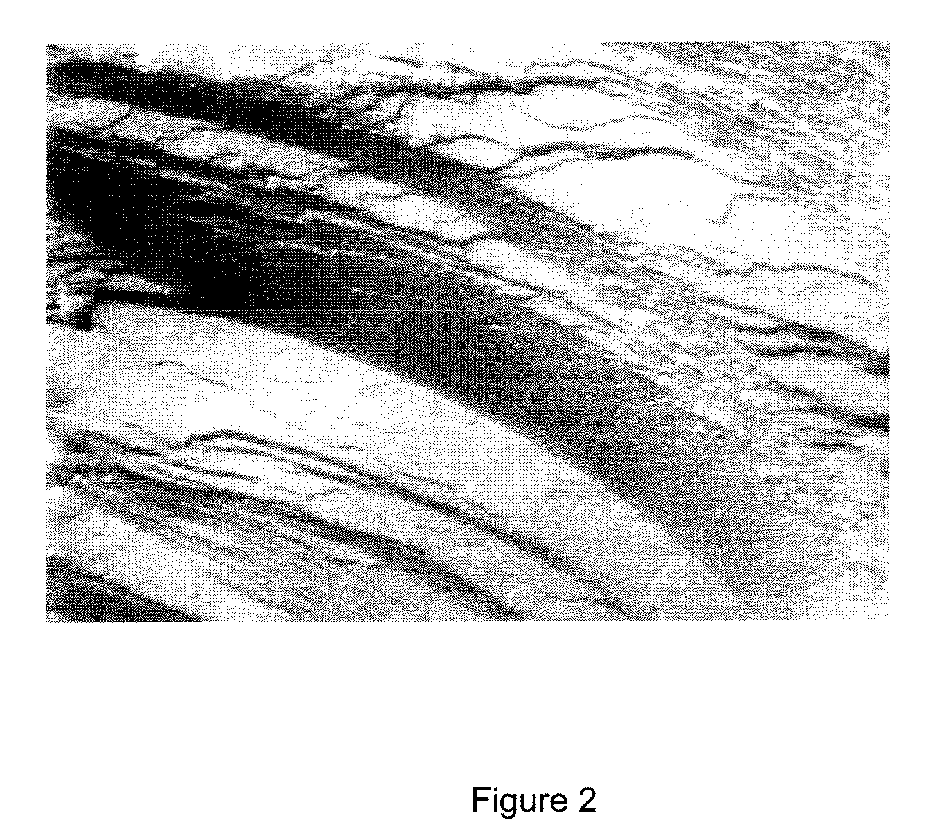 Method for preparing anisotropic particles and devices thereof