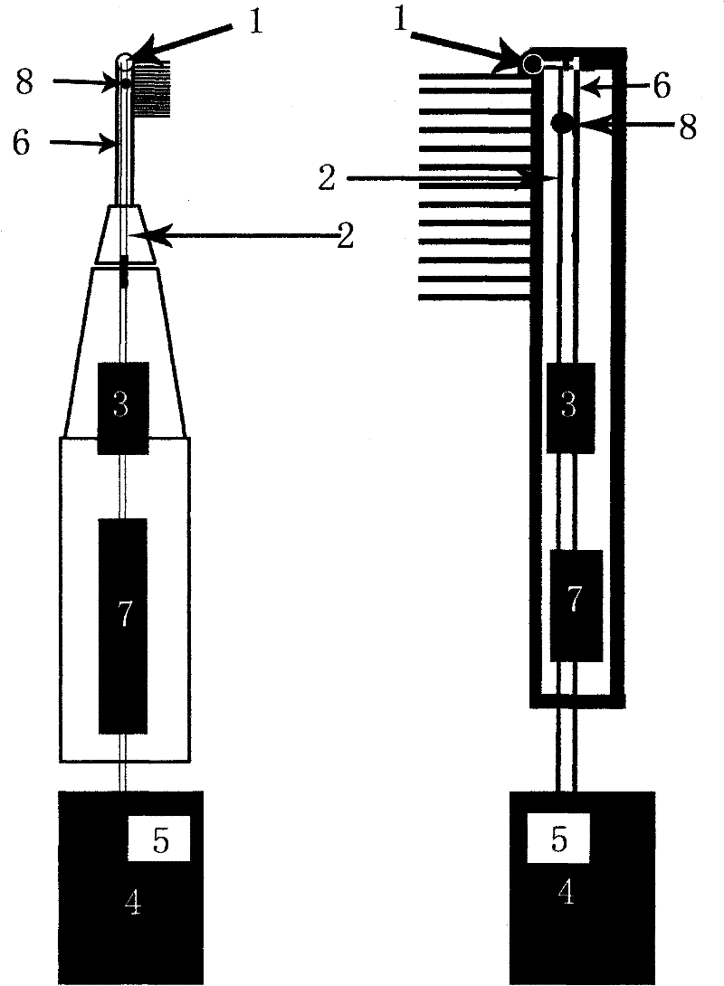 Visual toothbrush