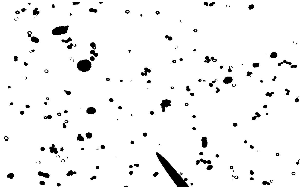 Method for preparing low-nitrite addition depubyomyces hansenii dry fermented sausages