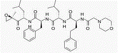 Stable carfilzomib pharmaceutical composition