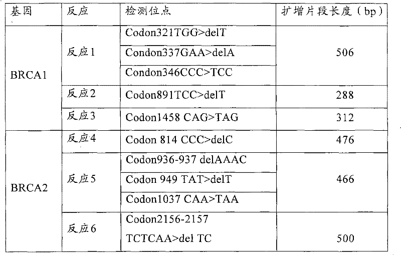 Six pairs of primers for the detection of breast cancer related loci