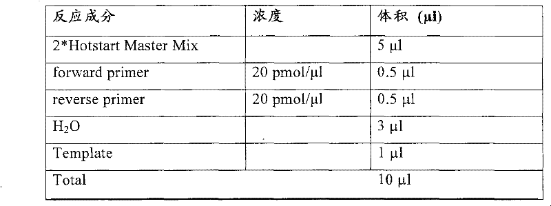 Six pairs of primers for the detection of breast cancer related loci