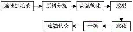 Novel fructus forsythiae tea and preparation method thereof