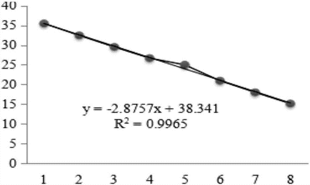 Primer pair, probe, kit and method for detecting murine rotavirus by adopting fluorescence quantitative RT-PCR (reverse transcription-polymerase chain reaction)