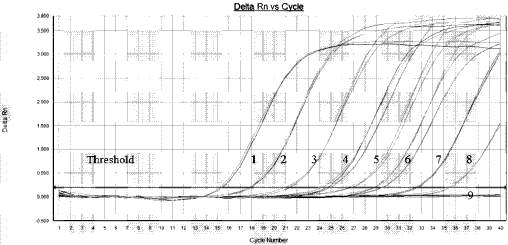 Primer pair, probe, kit and method for detecting murine rotavirus by adopting fluorescence quantitative RT-PCR (reverse transcription-polymerase chain reaction)