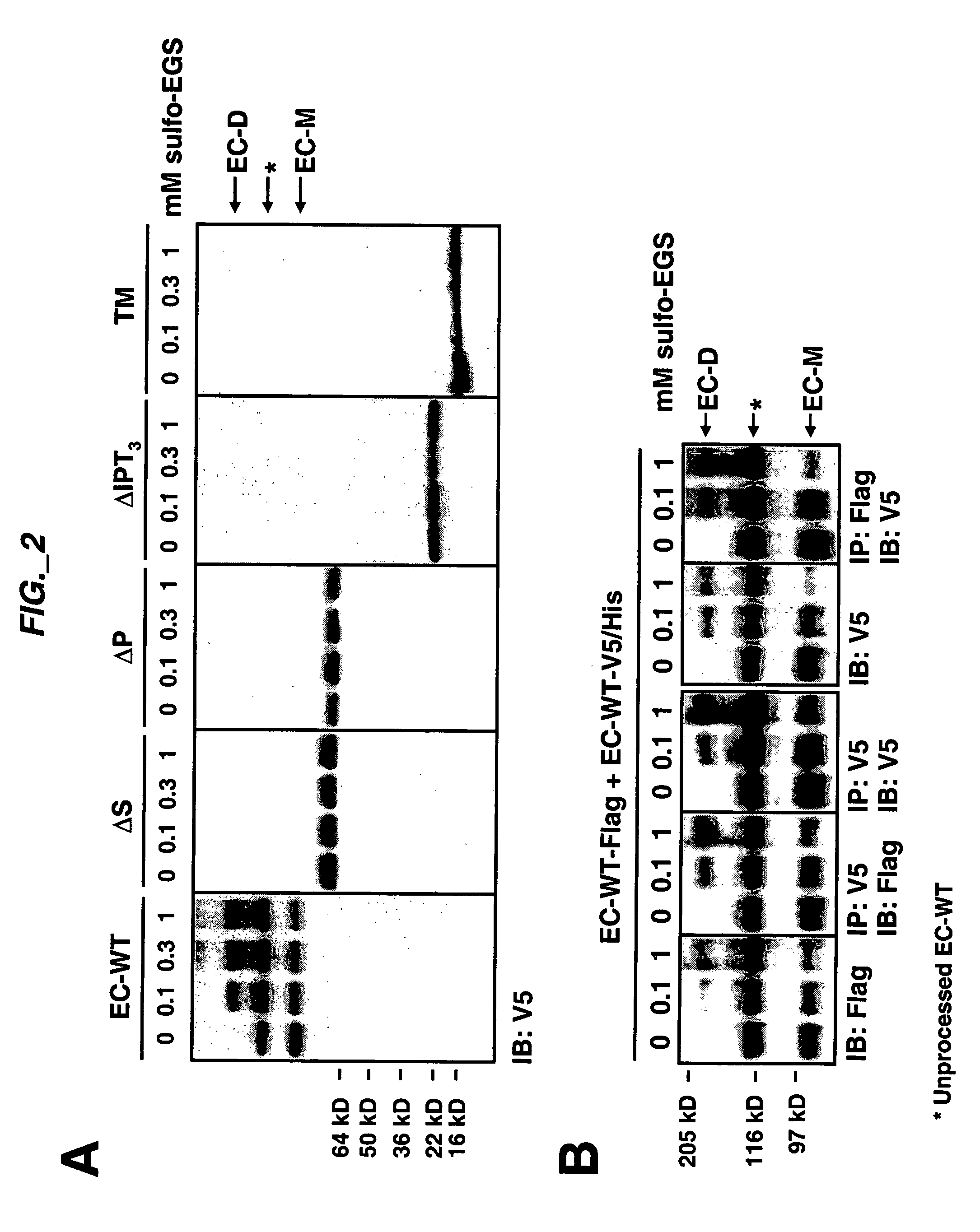 Methods and compositions for inhibiting c-met dimerization and activation