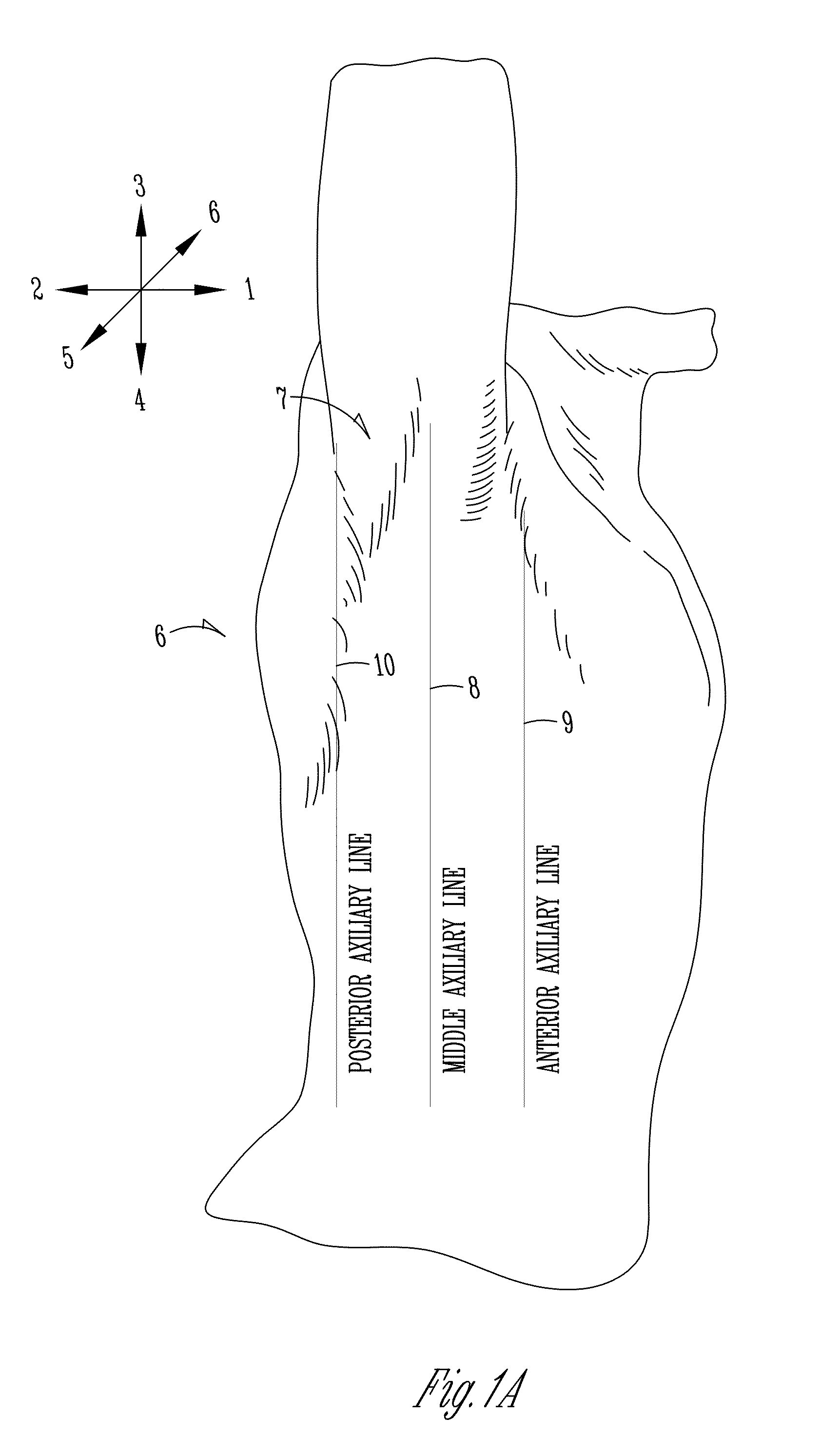 Detachable bra and bra strap assembly and system