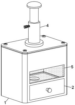 Ginkgo biloba biological breeding slicer