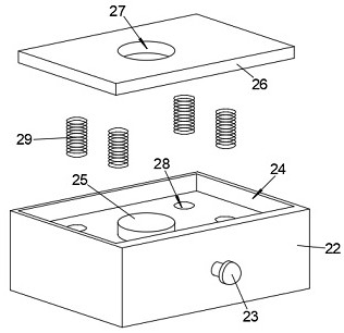 Ginkgo biloba biological breeding slicer