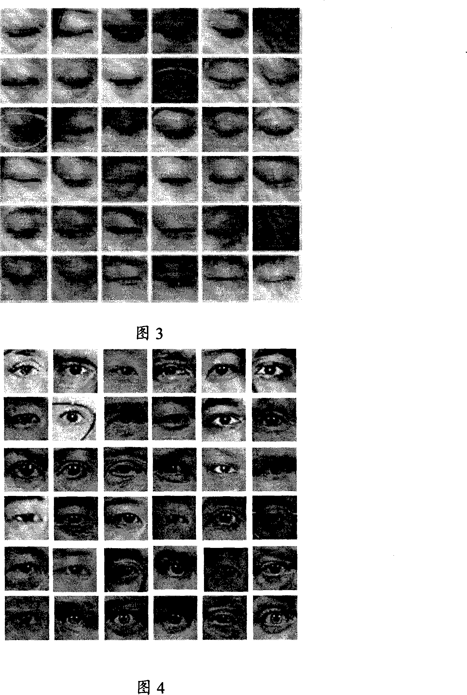 An automatic computer authentication method for photographic faces and living faces