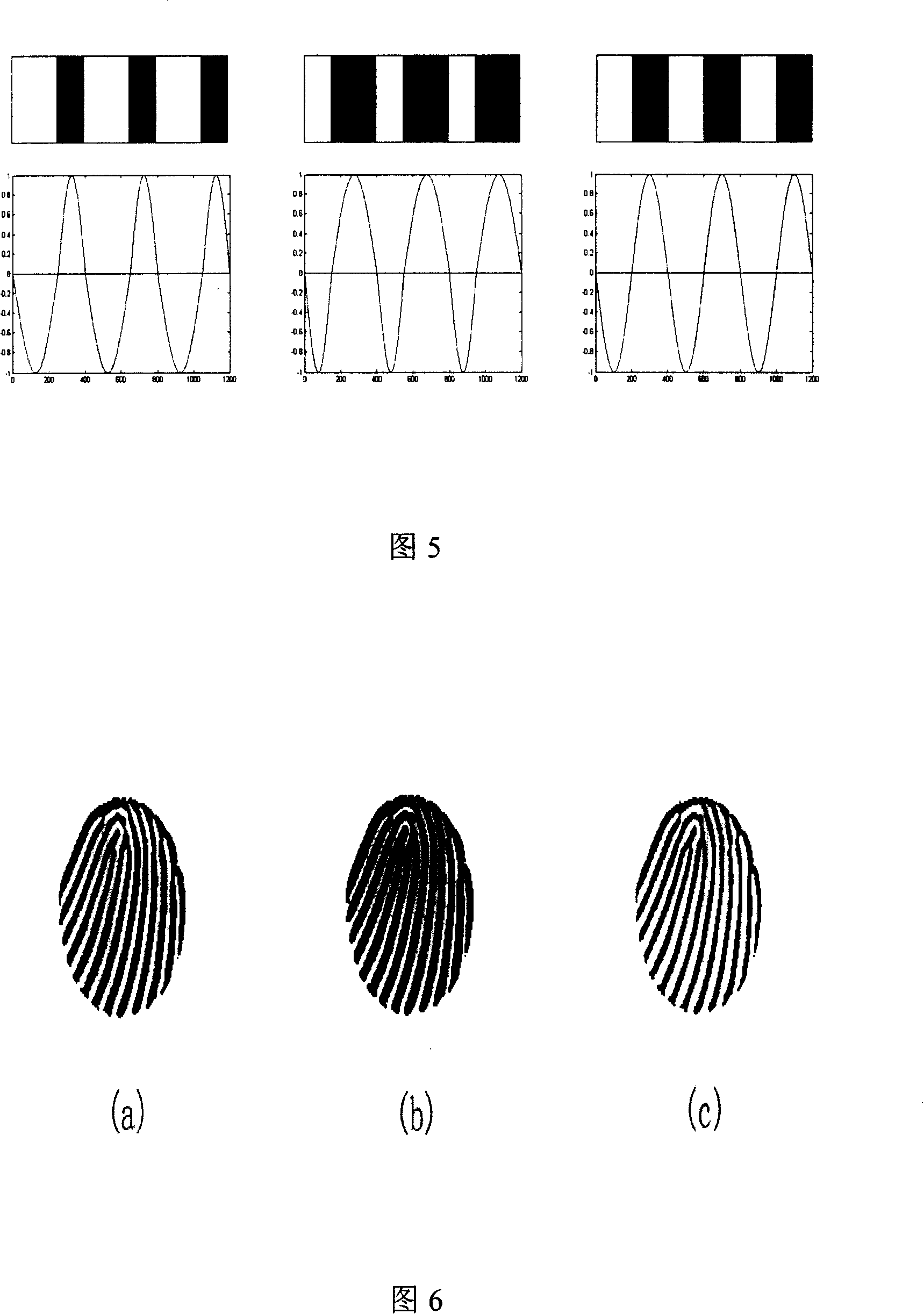 Fingerprint synthesis method based on orientation field model and Gabor filter