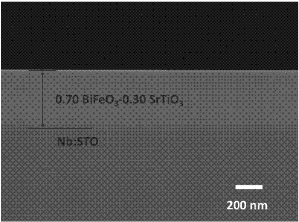 Bismuth ferrite-based dielectric film for high-density energy storage and preparation method and application thereof