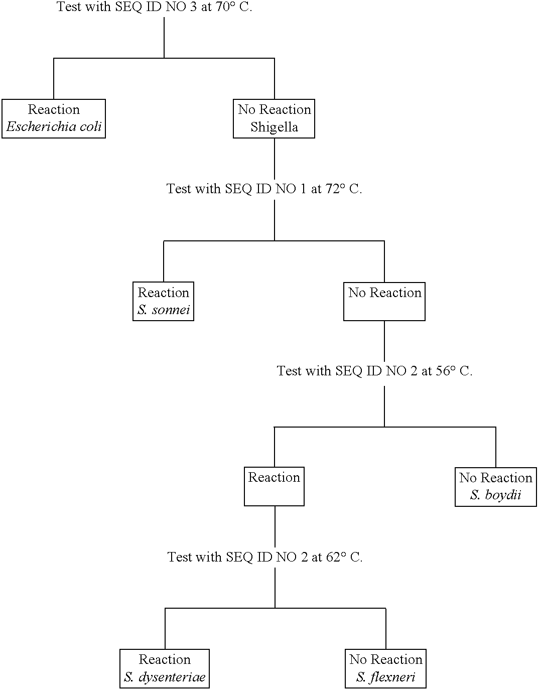 Methods for identifying species of Shigella and E. coli using operon sequence analysis