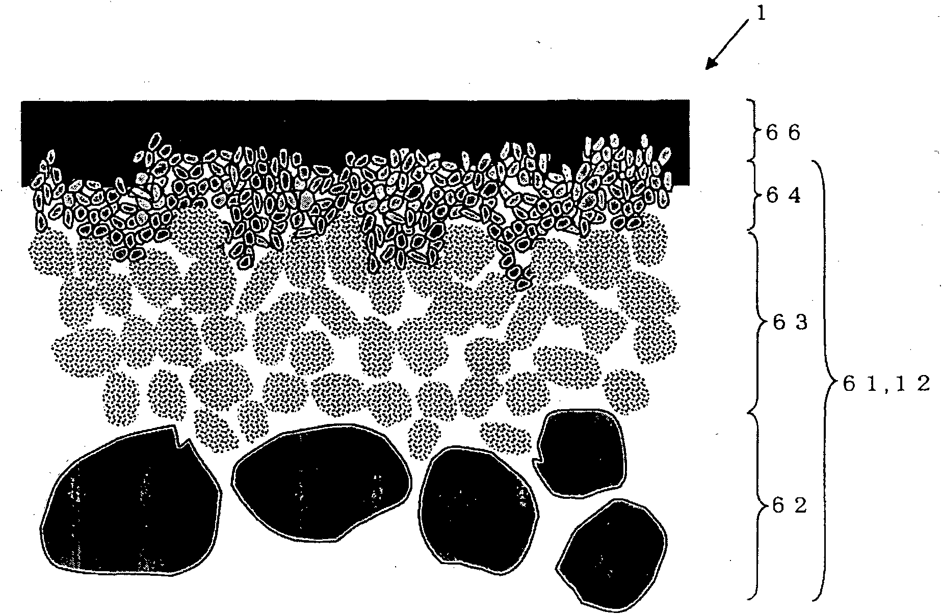 Separation membrane complex, and method for production of separation membrane complex