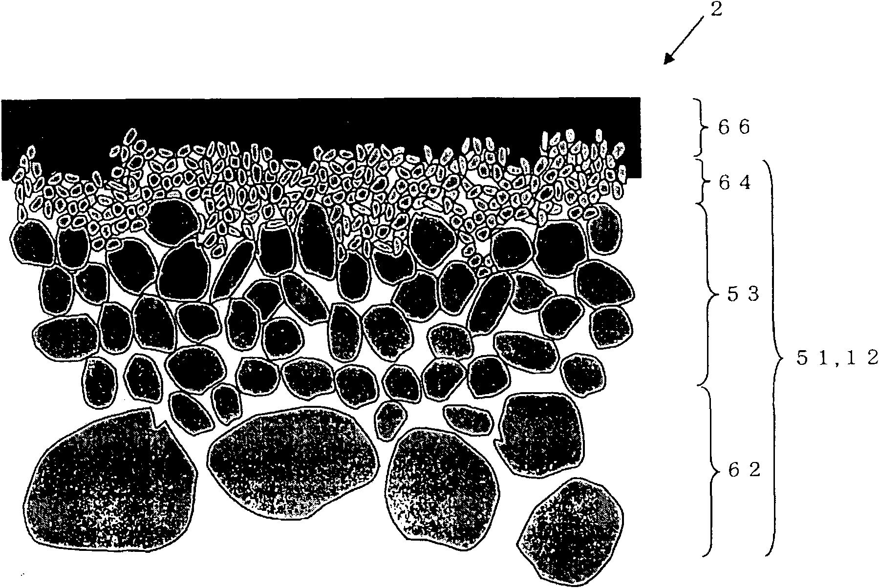 Separation membrane complex, and method for production of separation membrane complex