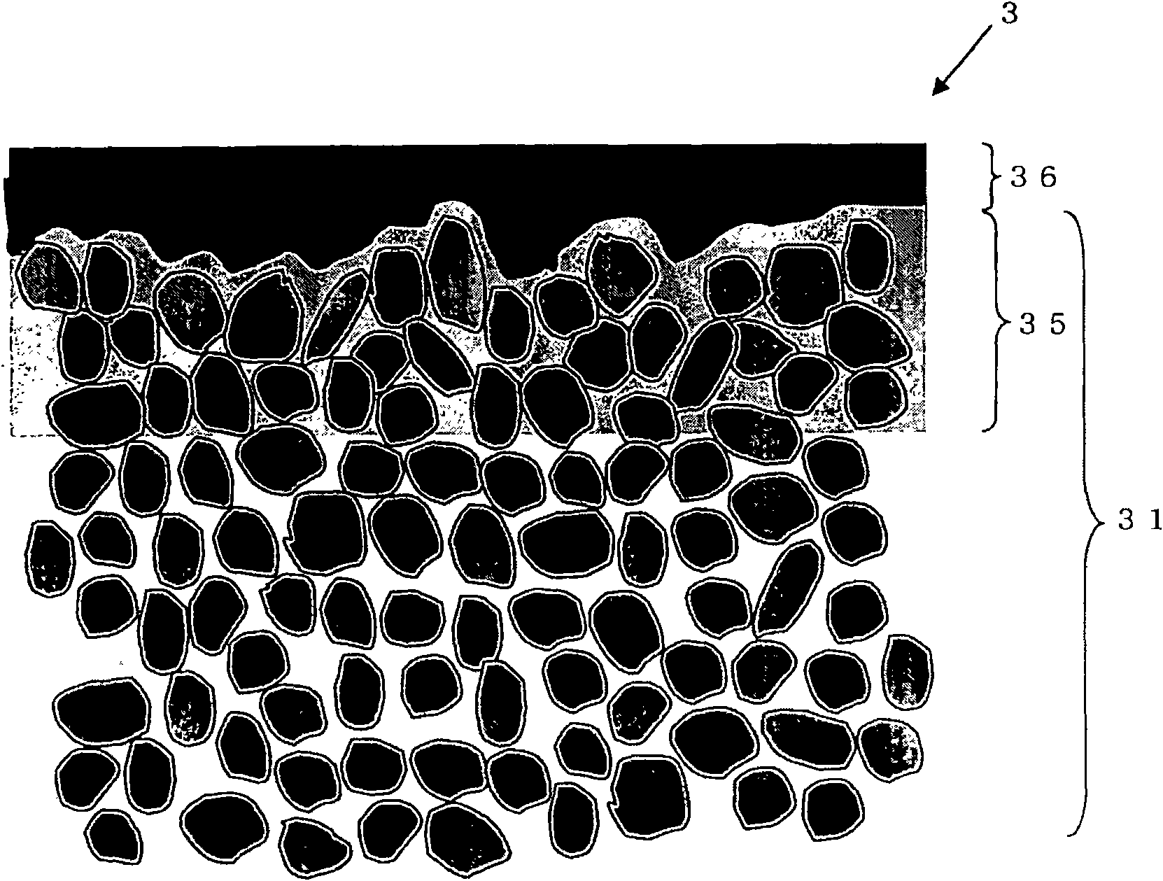 Separation membrane complex, and method for production of separation membrane complex