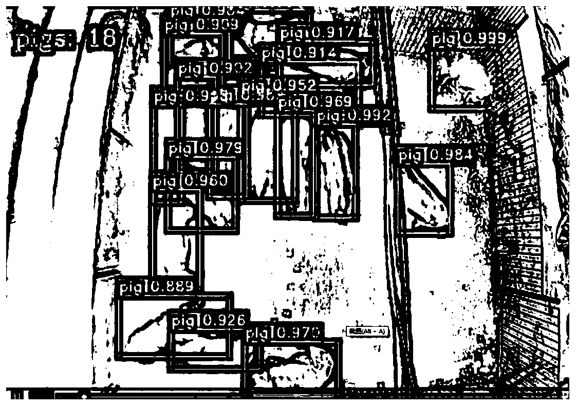 Livestock inventory method, device and equipment apparatus and storage medium