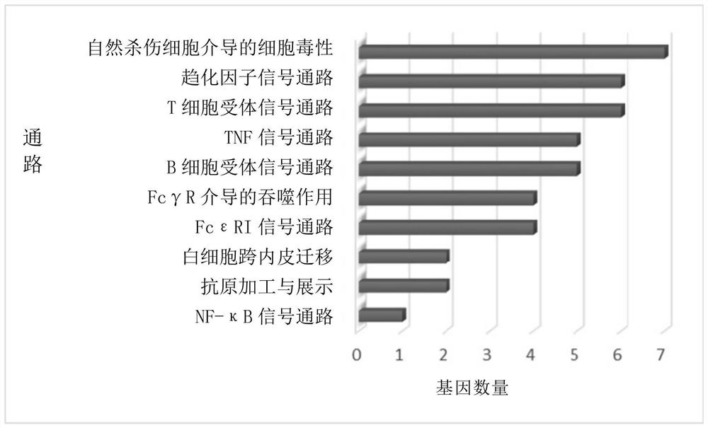 Bitterness receptor agonist and application thereof in prevention and treatment of SARS-CoV-2 related infectious diseases