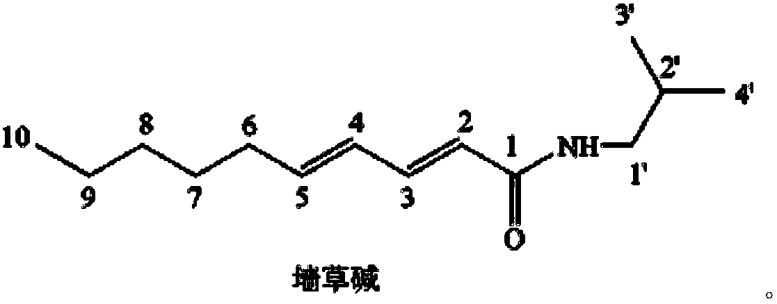 Piper laetispicum extract as well as preparation method and application thereof