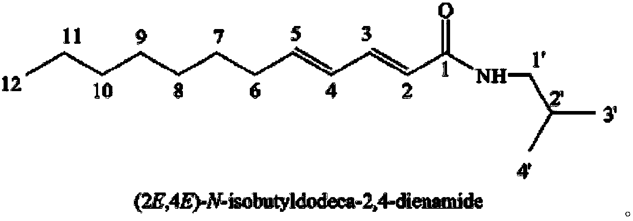 Piper laetispicum extract as well as preparation method and application thereof