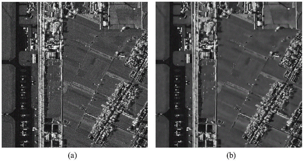 Parallel real-time sar image speckle reduction and denoising method based on multi-chip dsp